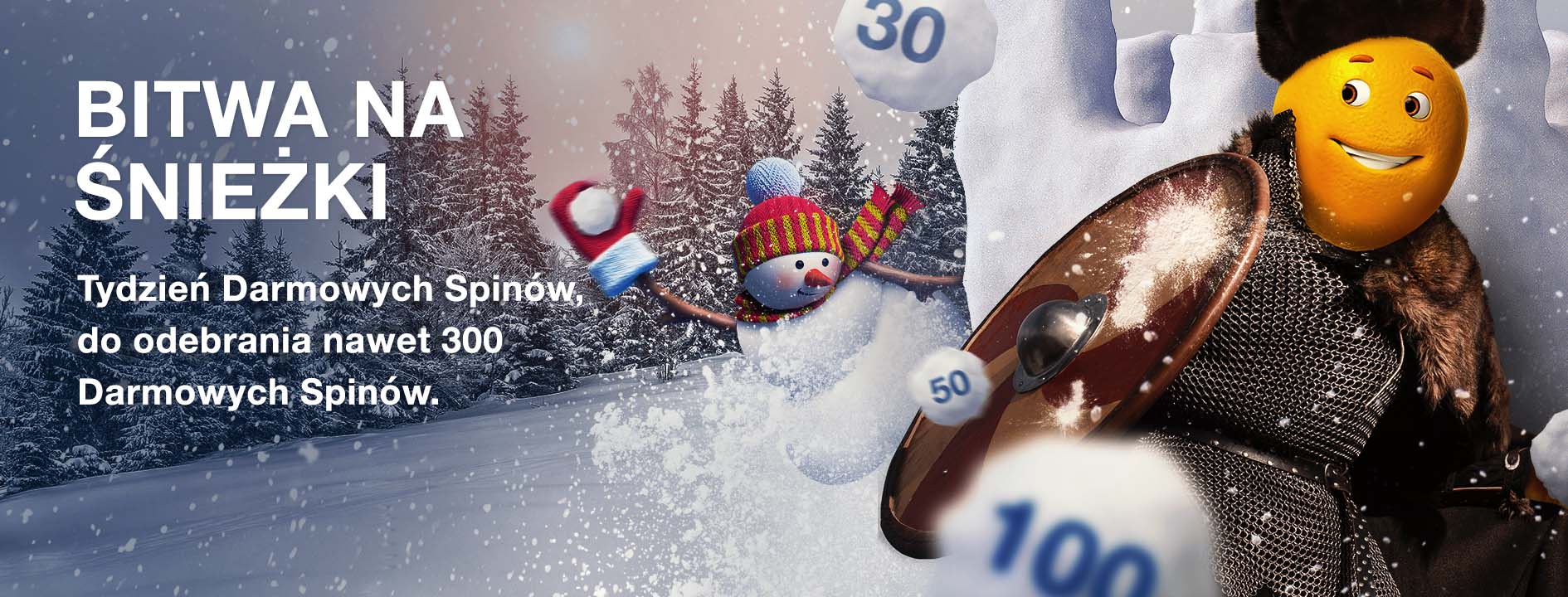 Bitwa Na Sniezki